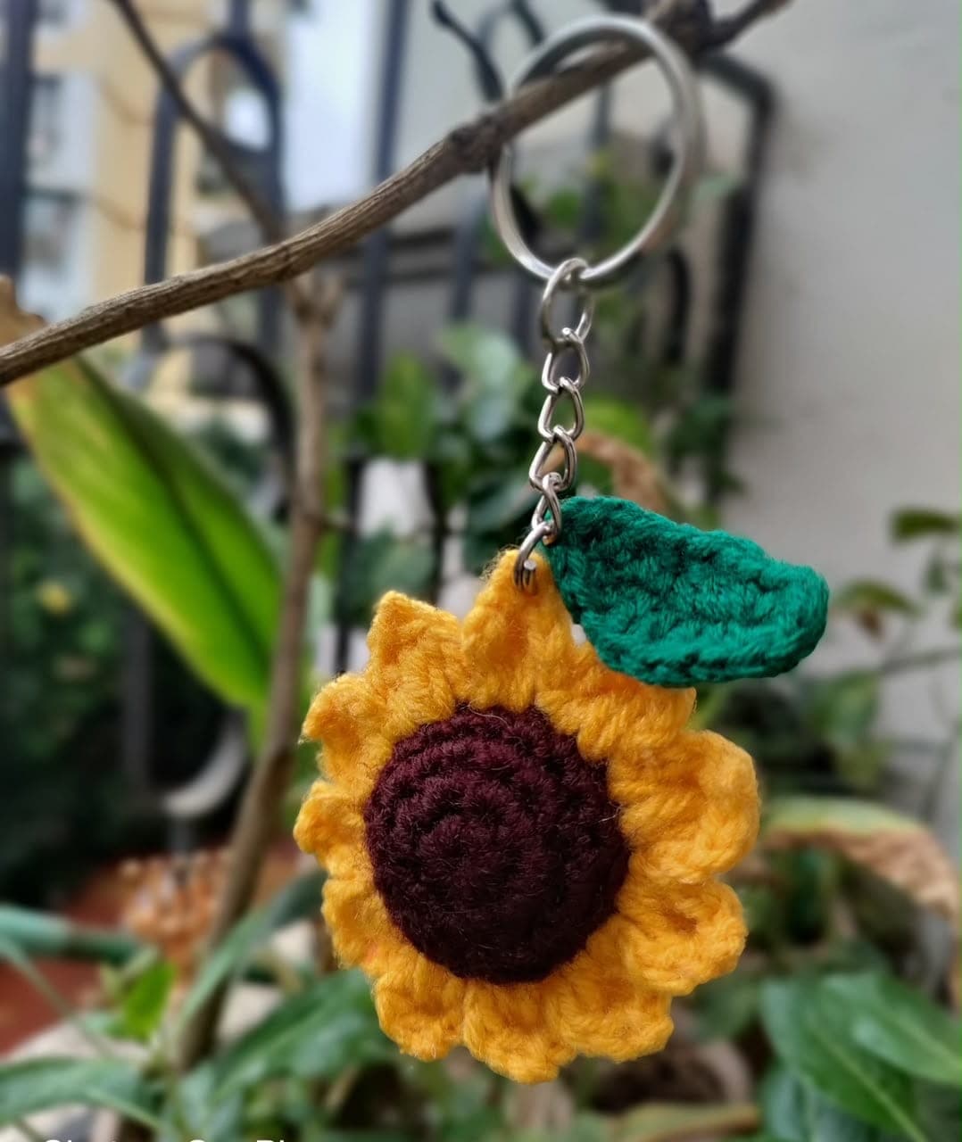 Sunflower Edit